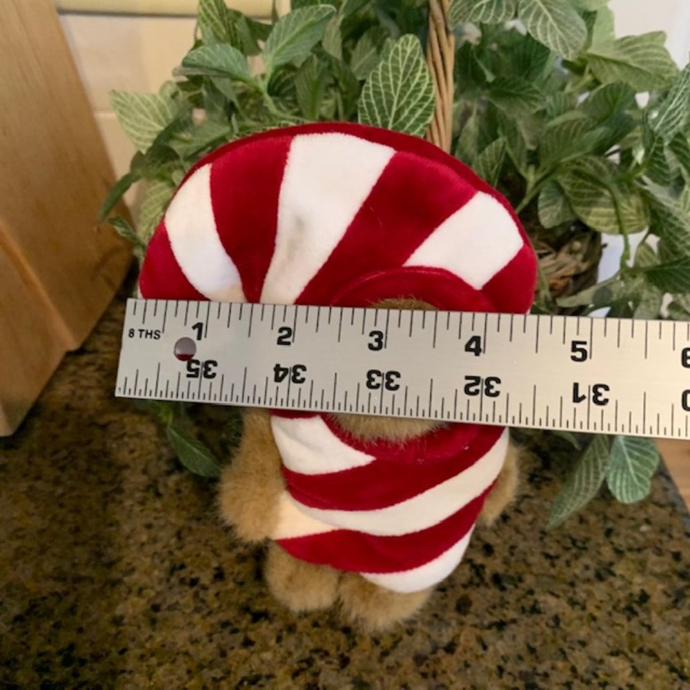 Boyds Bear - C.C. Peeker - Picture 4 of 5